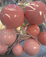 Load image into Gallery viewer, Plastic Balls $3.99